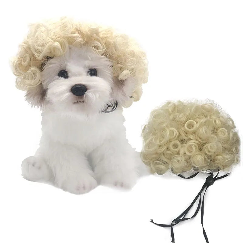 Curly Hair Straight Wig for Cat and Dog, Pet Supplies, Halloween Pet Accessories dog hats