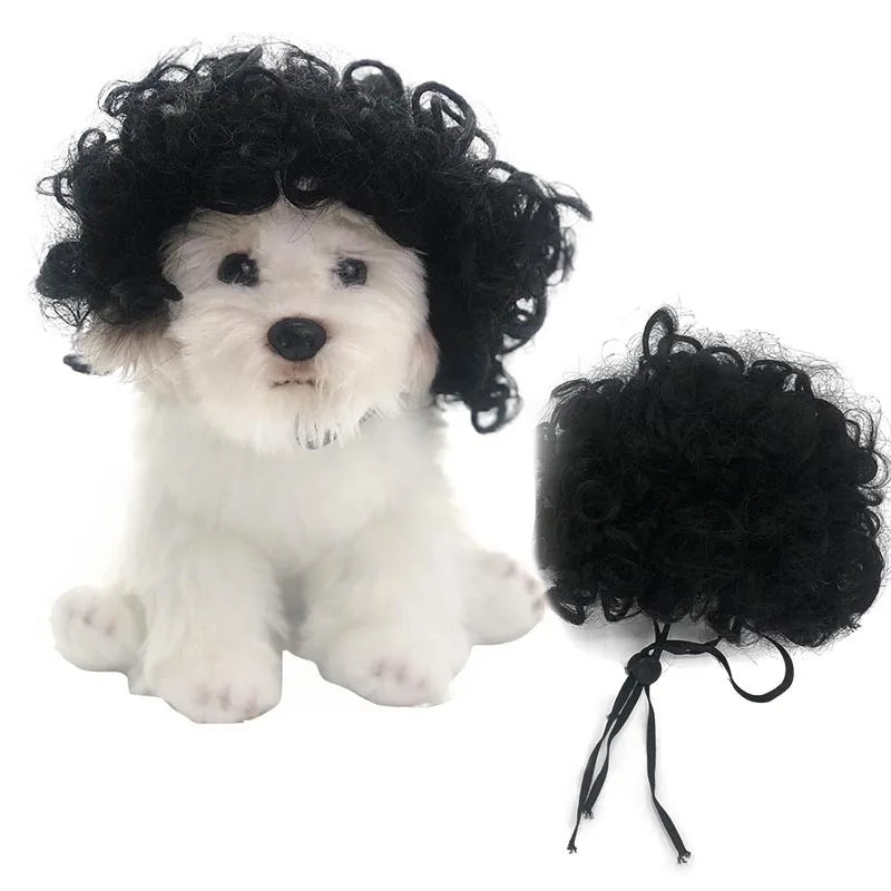 Curly Hair Straight Wig for Cat and Dog, Pet Supplies, Halloween Pet Accessories dog hats