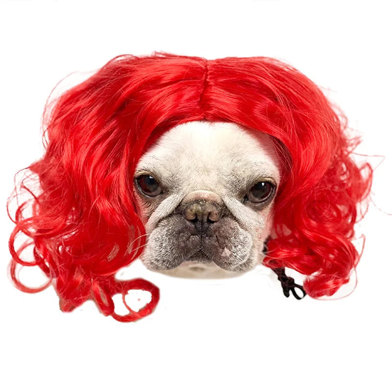 Curly Hair Straight Wig for Cat and Dog, Pet Supplies, Halloween Pet Accessories dog hats