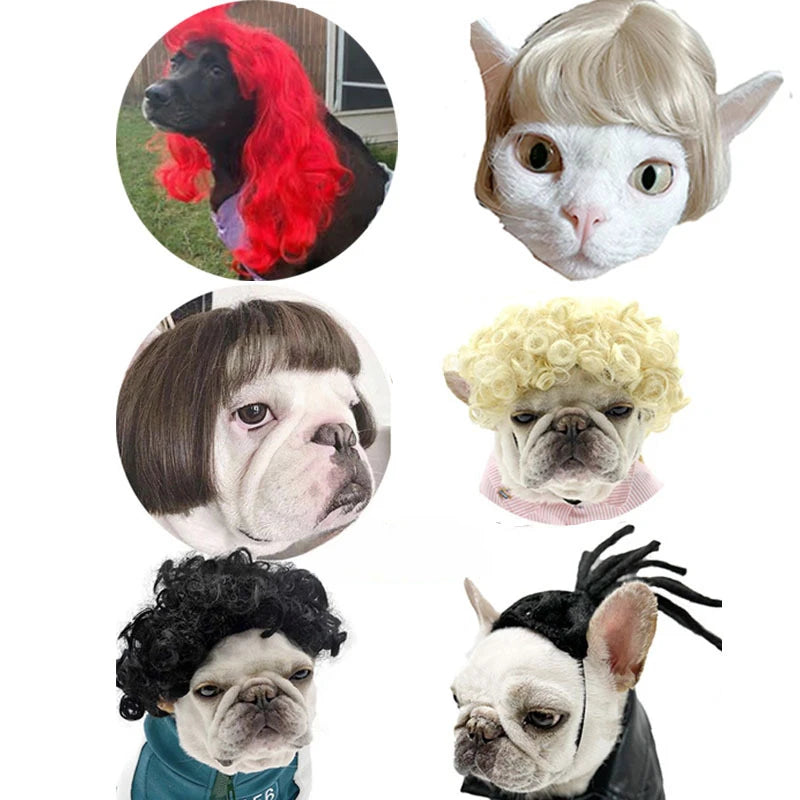 Curly Hair Straight Wig for Cat and Dog, Pet Supplies, Halloween Pet Accessories dog hats