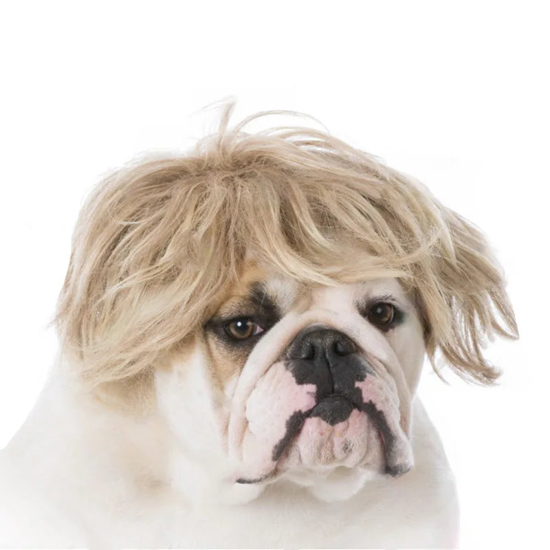 Curly Hair Straight Wig for Cat and Dog, Pet Supplies, Halloween Pet Accessories dog hats