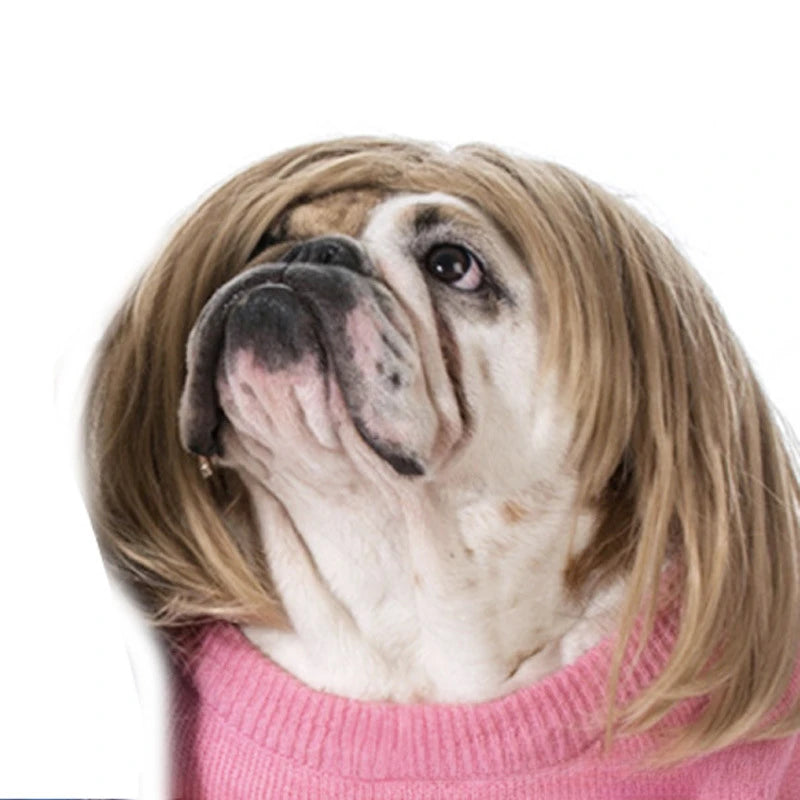 Curly Hair Straight Wig for Cat and Dog, Pet Supplies, Halloween Pet Accessories dog hats