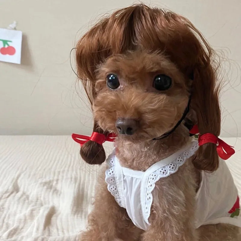 Curly Hair Straight Wig for Cat and Dog, Pet Supplies, Halloween Pet Accessories dog hats